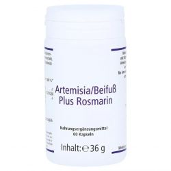 Артемизинин 150 мг капс. 60шт в Перми и области фото